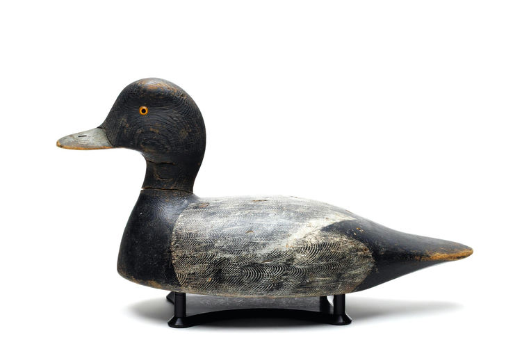 Cyril Heath – Scaup – 2026