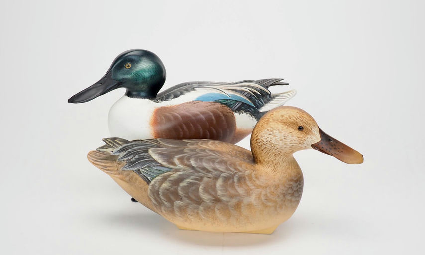John Kouchinsky — Shoveler Pair