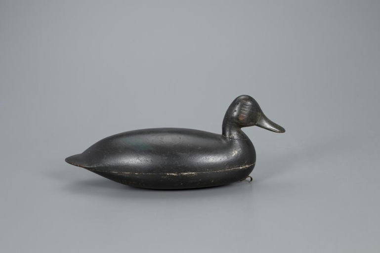 Nathan Rowley Horner – Hollow Black Duck – 2020