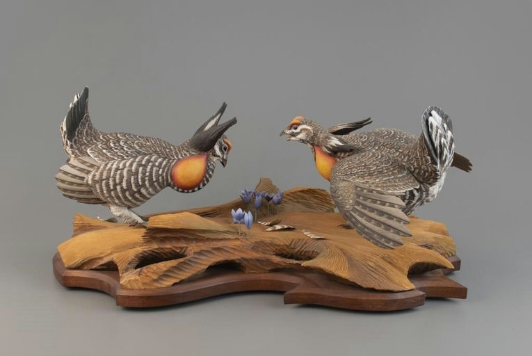 William J. Koelpin – Greater Prairie Chickens – 2025