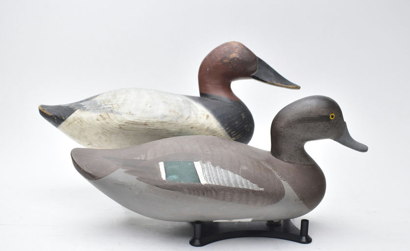 R. Madison Mitchell – Canvasback – 2025