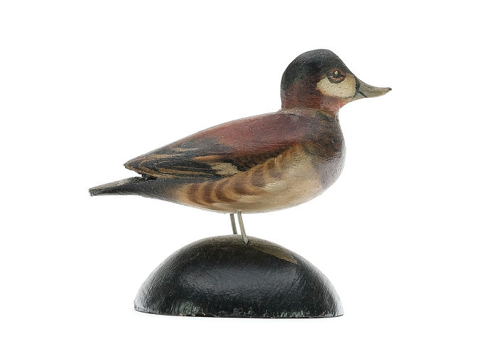 Elmer Crowell – Miniature Ruddy Duck – 2025