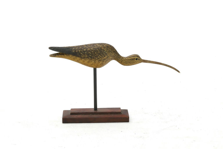 Mark McNair – Miniature Curlew – 2025