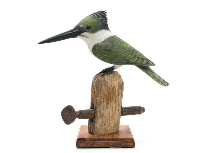 Frank Finney – Tropical Kingfisher On An Old Wooden Post With Iron Spike – 2025