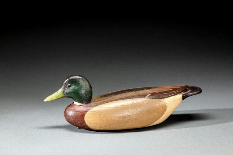 David Ward – Mallard Drake – 2016