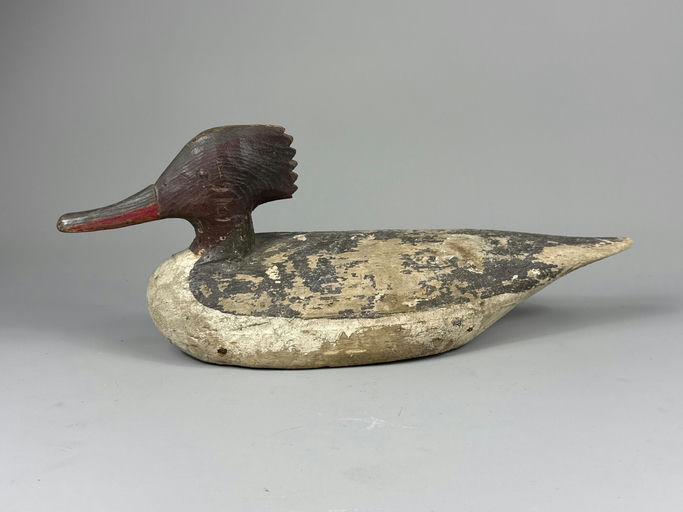 Miles Hancock – Red-breasted merganser – 2026