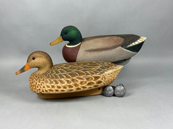 Cigar Daisey – Mallard – 2026