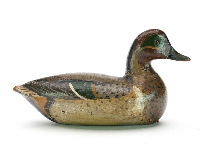 Charles Perdew – Green-winged Teal – 2025
