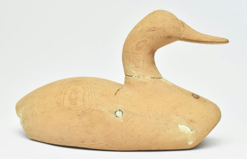 Duncan Ducharme – Canvasback – 2023