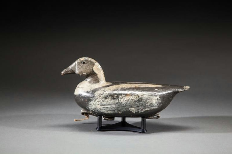 Cassius Smith – Long Tail Duck – 2016