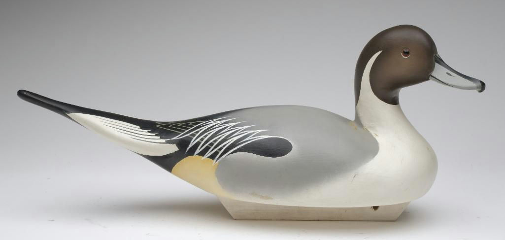 Charlie Joiner – Pintail – 2023