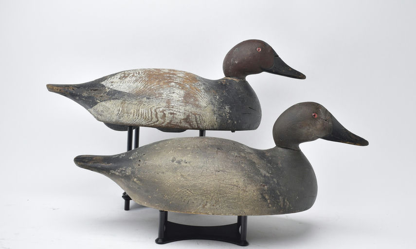 Mason Decoy Factory – Pair of Canvasbacks – 2025
