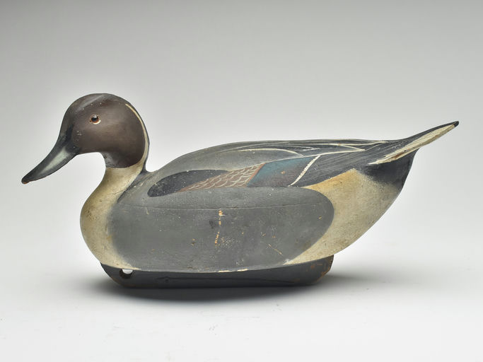 Ward Brothers – Pintail – 2023