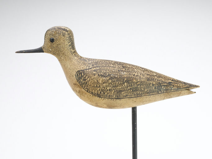 George Boyd – Black Bellied Plover – 2025