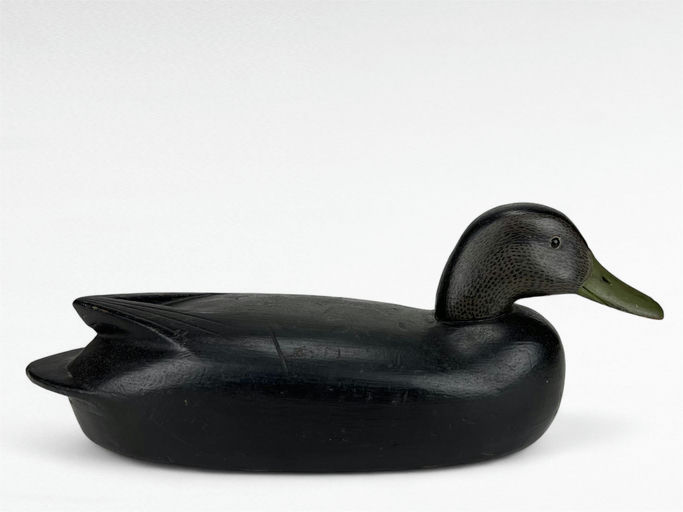 Charles Black — Black Duck