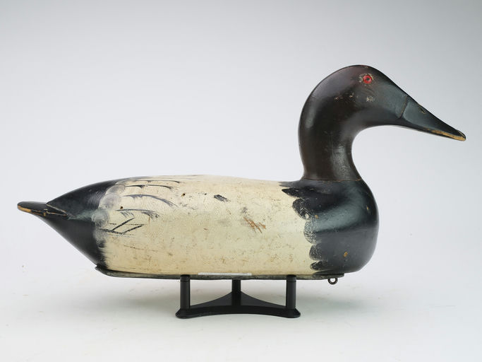 Bert Graves – Canvasback – 2024
