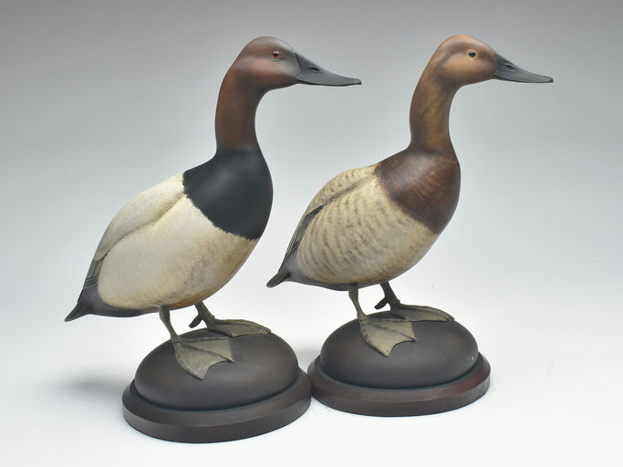 Bill Gibian – Pair of Canvasback – 2023