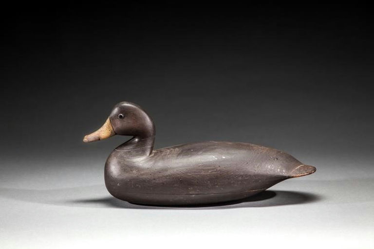 Charles Birch – Black Duck – 2016