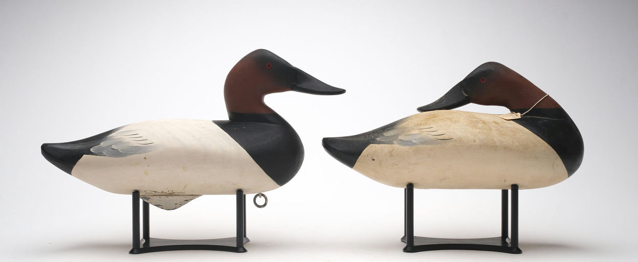 Charlie Joiner – Pair of Canvasback – 2026