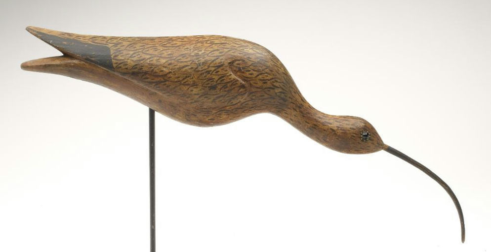 Reggie Birch – Curlew – 2023
