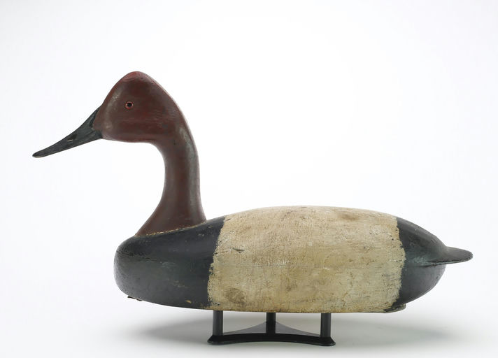 John McLoughlin – Canvasback – 2024