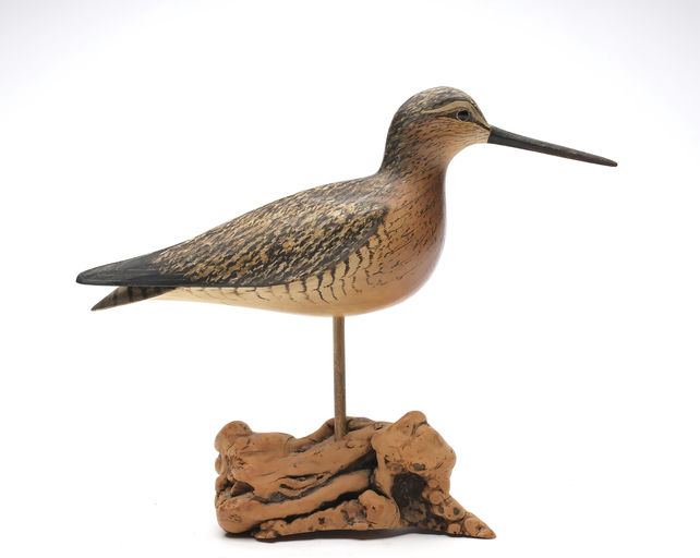 Bill Gibian – Dowitcher – 2026