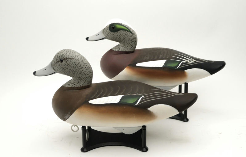 Charlie Joiner – Pair of Wigeon – 2026