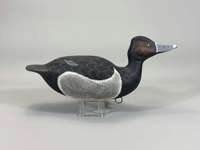 Roe Terry – Ringneck – 2026