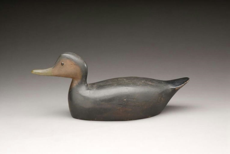 George Boyd – Black Duck Hen – 2009