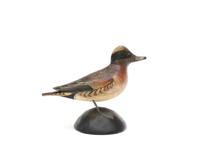 Elmer Crowell – Miniature Wigeon – 2026