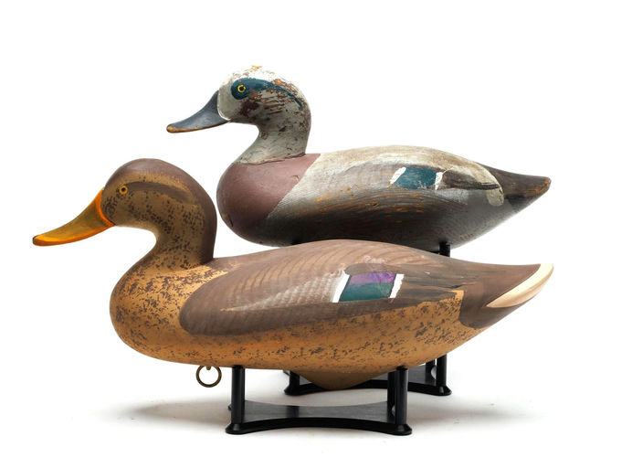 R. Madison Mitchell – Mallard – 2026