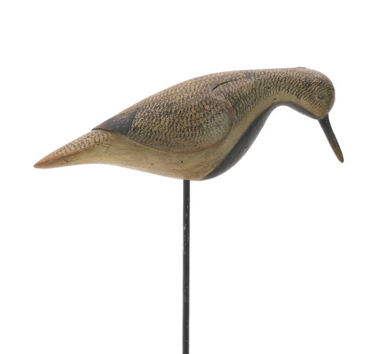 Mark McNair – Black Bellied Plover – 2024