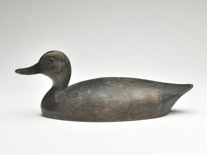 John R. Wells – Teal Hen – 2023
