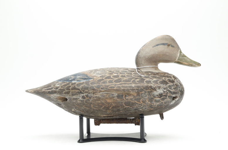 Ira Hudson – Black Duck – 2026