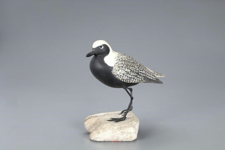 Al Glassford – Black-Bellied Plover – 2020