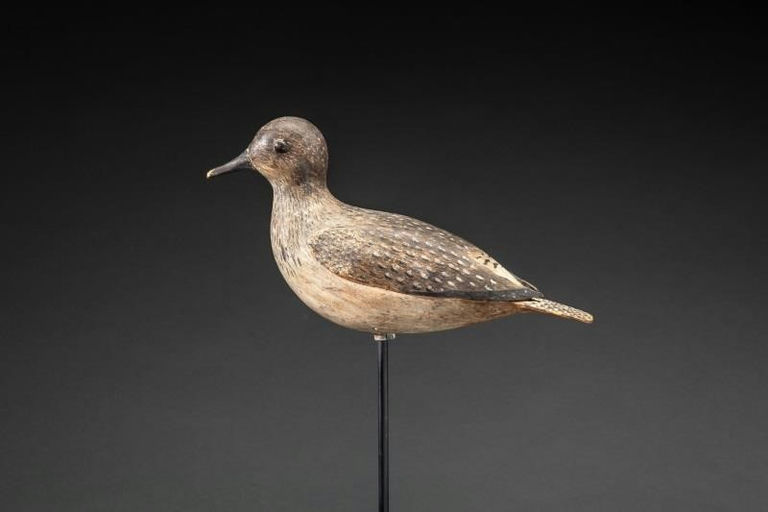 Fred M. Nichols – Golden Plover – 2014