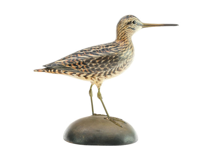 Elmer Crowell – Snipe – 2025