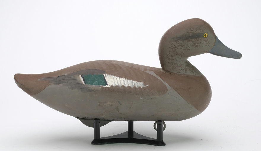 R. Madison Mitchell – Widgeon Hen – 2024