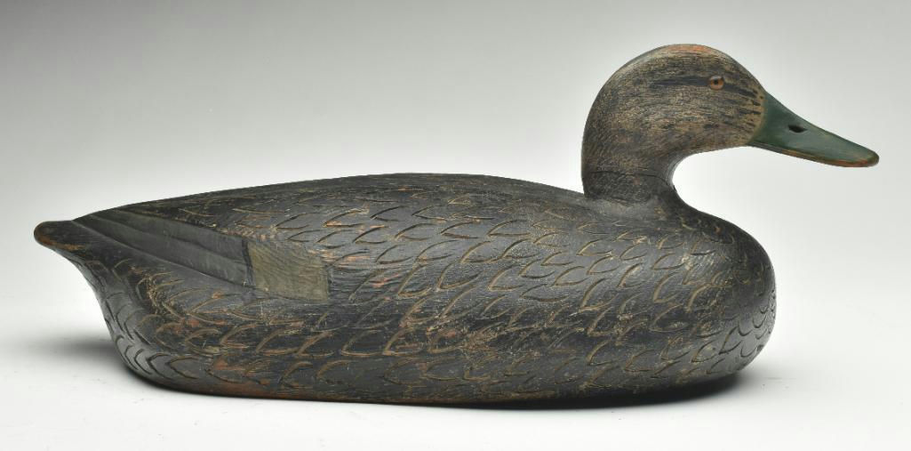Tom Schroeder – Black Duck – 2023