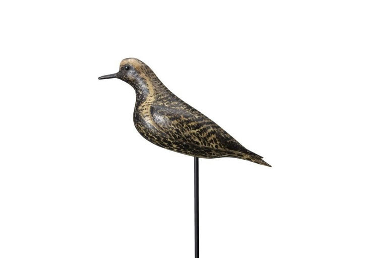 Charles Sumner Bunn – Running Golden Plover – 2017