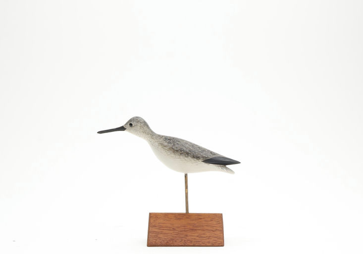 George Strunk – Miniature Yellowlegs – 2026