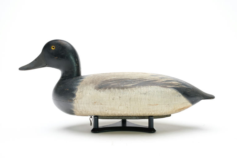 Charles Schoenheider, Sr. – Scaup – 2026