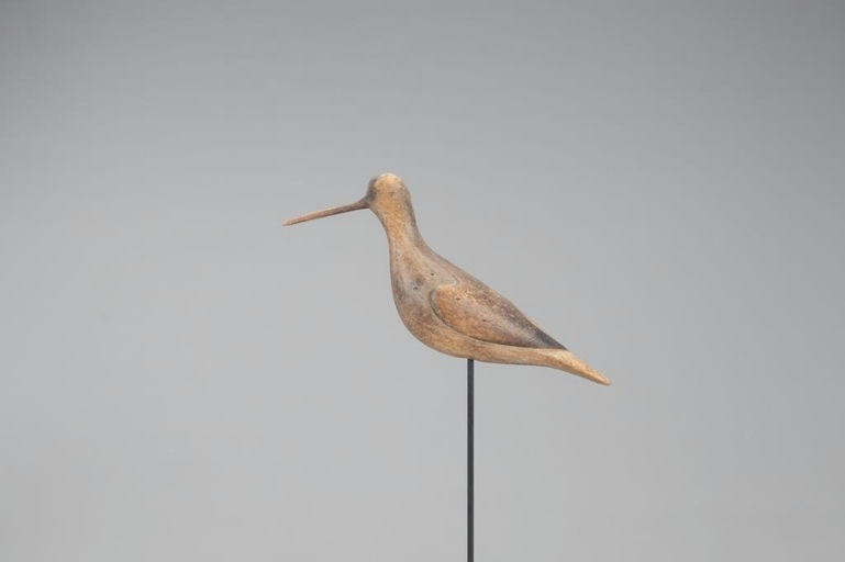Mark McNair – Lesser Yellowlegs – 2021
