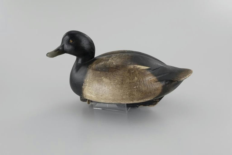 Jim Schmiedlin – Bluebill – 2026