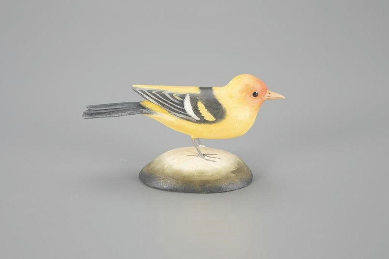 Frank Finney – Western Tanager – 2024