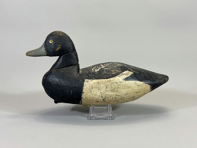 Will Mason – Scaup – 2026