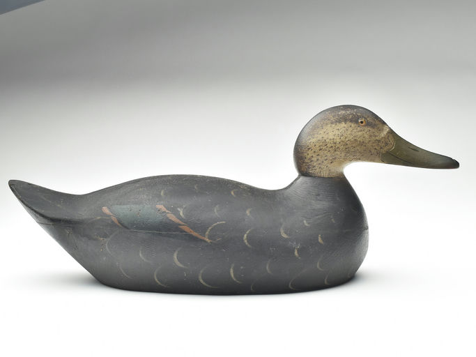 Mason Decoy Factory – Black Duck – 2023
