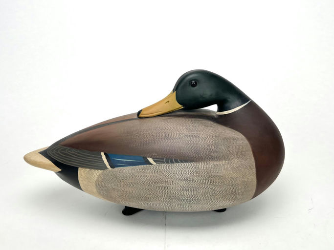 Keith Mueller – Preening Mallard Drake – 2024
