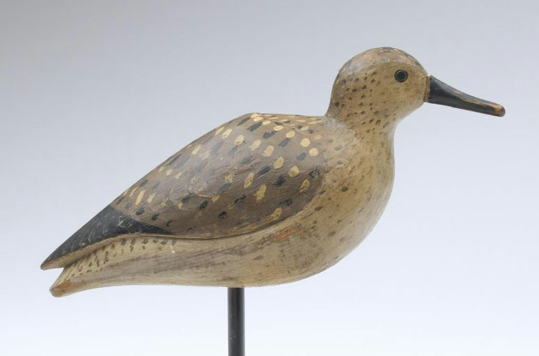 Mark McNair – Early Sanderling – 2023