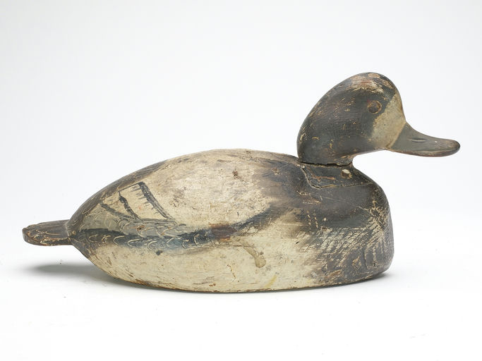 Ira Hudson – Bluebill Hen – 2023